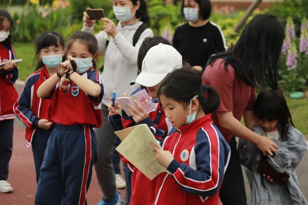 1619695790295333.jpg 2.jpg