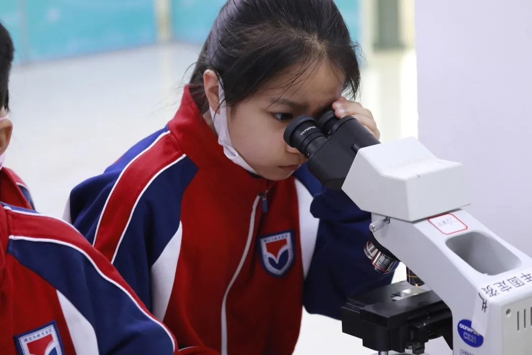 1619695822998371.jpg 4.jpg