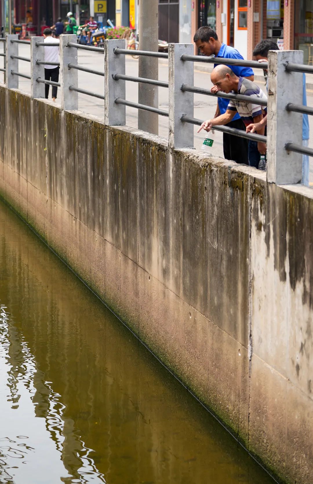 1667381036531733.jpg 85636025979a4b22ad0931e1c8117936.jpg